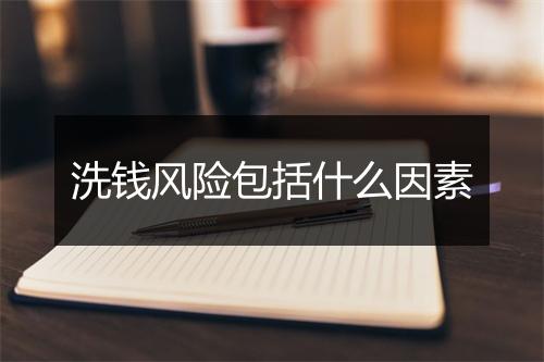 洗钱风险包括什么因素