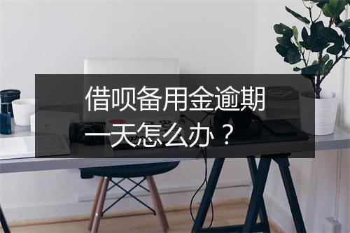 借呗备用金逾期一天怎么办？