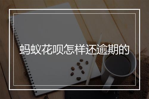 蚂蚁花呗怎样还逾期的