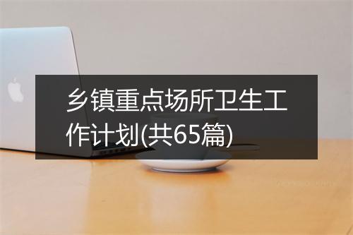乡镇重点场所卫生工作计划(共65篇)