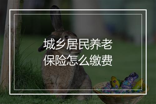 城乡居民养老保险怎么缴费