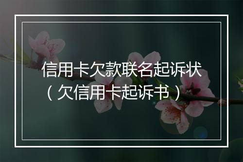 信用卡欠款联名起诉状（欠信用卡起诉书）