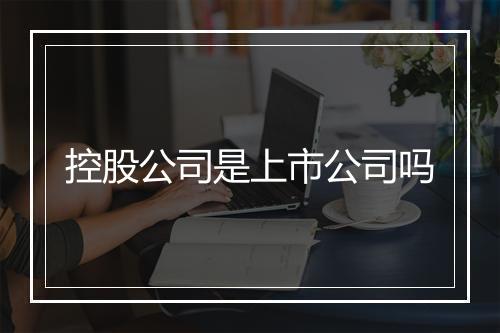 控股公司是上市公司吗