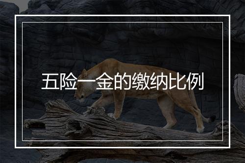 五险一金的缴纳比例
