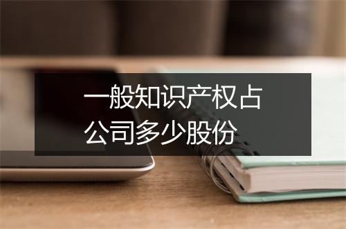 一般知识产权占公司多少股份