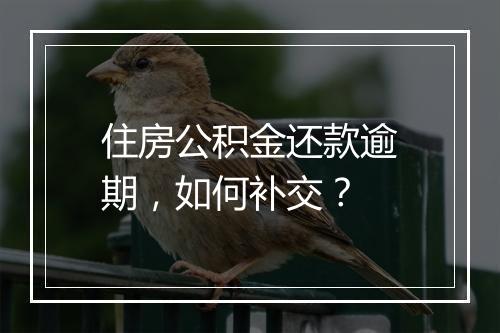 住房公积金还款逾期，如何补交？