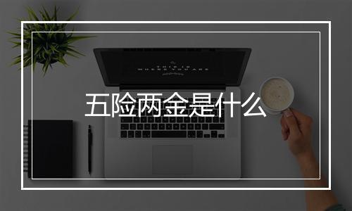 五险两金是什么