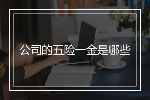 公司的五险一金是哪些