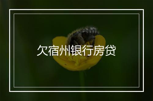 欠宿州银行房贷