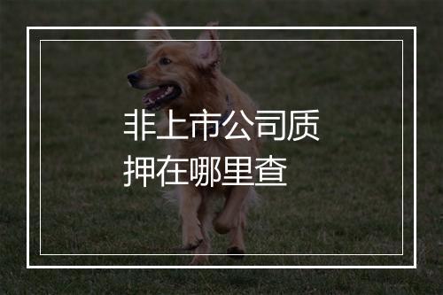 非上市公司质押在哪里查