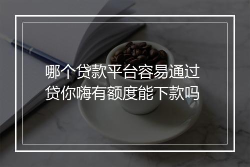 哪个贷款平台容易通过 贷你嗨有额度能下款吗
