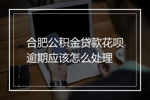 合肥公积金贷款花呗逾期应该怎么处理