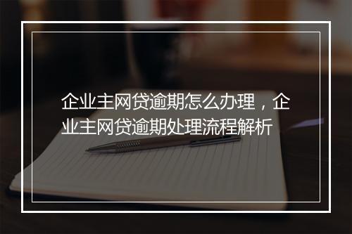 企业主网贷逾期怎么办理，企业主网贷逾期处理流程解析