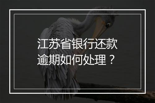 江苏省银行还款逾期如何处理？