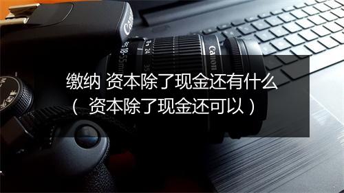缴纳 资本除了现金还有什么（ 资本除了现金还可以）