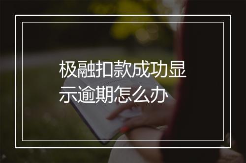 极融扣款成功显示逾期怎么办