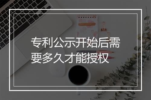 专利公示开始后需要多久才能授权