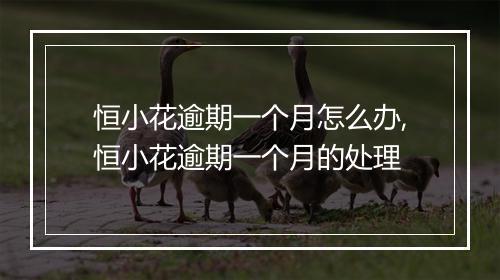恒小花逾期一个月怎么办,恒小花逾期一个月的处理