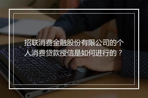 招联消费金融股份有限公司的个人消费贷款授信是如何进行的？