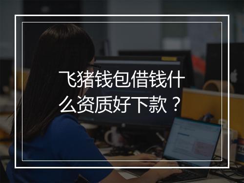 飞猪钱包借钱什么资质好下款？