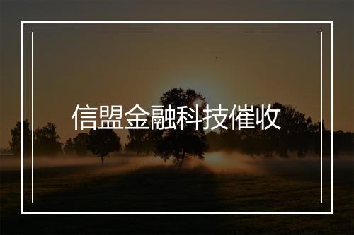 信盟金融科技催收