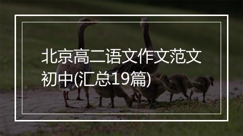 北京高二语文作文范文初中(汇总19篇)