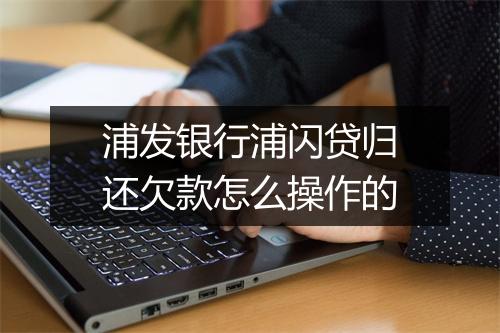 浦发银行浦闪贷归还欠款怎么操作的