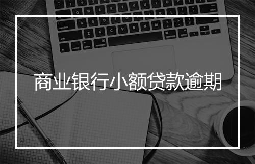 商业银行小额贷款逾期