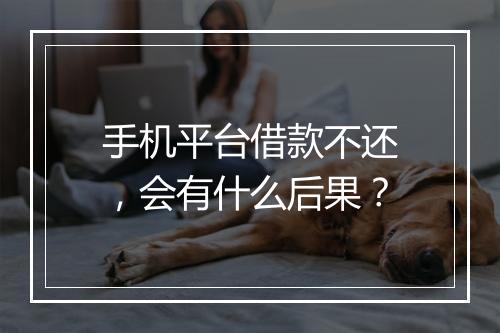 手机平台借款不还，会有什么后果？