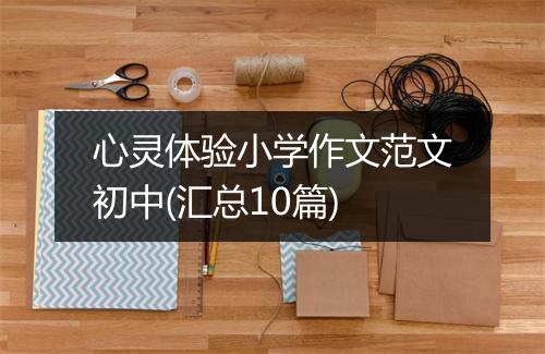 心灵体验小学作文范文初中(汇总10篇)