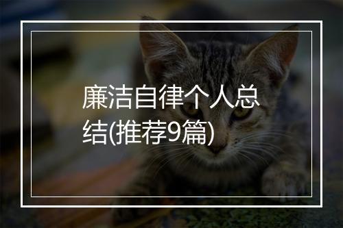 廉洁自律个人总结(推荐9篇)