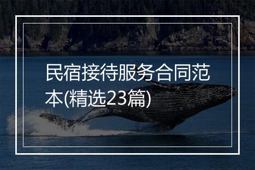 民宿接待服务合同范本(精选23篇)