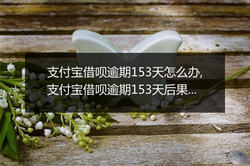 支付宝借呗逾期153天怎么办,支付宝借呗逾期153天后果严重吗
