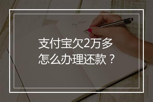 支付宝欠2万多怎么办理还款？
