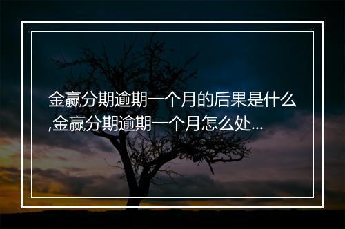金赢分期逾期一个月的后果是什么,金赢分期逾期一个月怎么处理