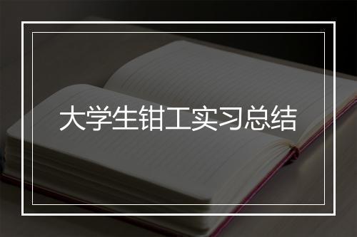 大学生钳工实习总结