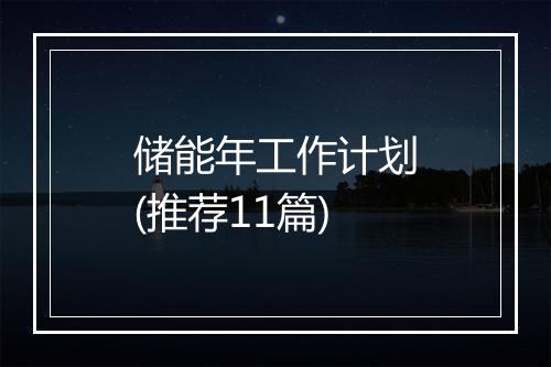 储能年工作计划(推荐11篇)