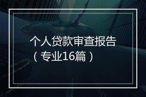 个人贷款审查报告（专业16篇）