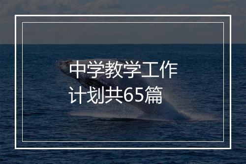 中学教学工作计划共65篇
