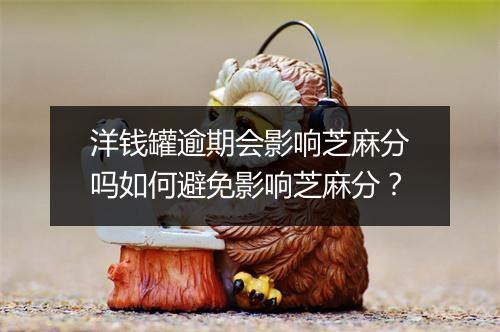 洋钱罐逾期会影响芝麻分吗如何避免影响芝麻分？