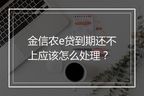 金信农e贷到期还不上应该怎么处理？
