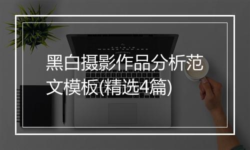 黑白摄影作品分析范文模板(精选4篇)
