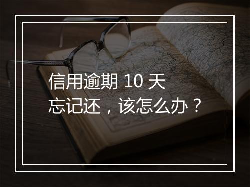 信用逾期 10 天忘记还，该怎么办？