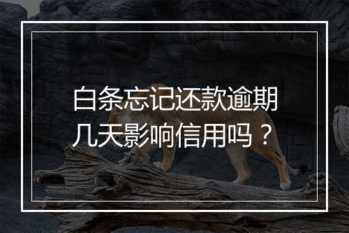 白条忘记还款逾期几天影响信用吗？