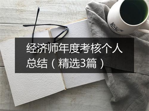 经济师年度考核个人总结（精选3篇）