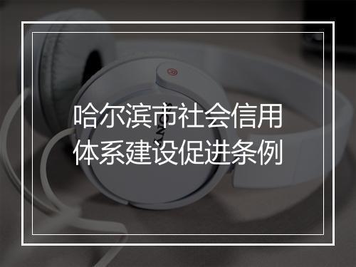哈尔滨市社会信用体系建设促进条例
