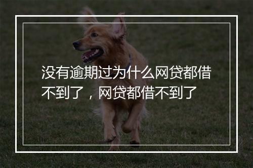 没有逾期过为什么网贷都借不到了，网贷都借不到了
