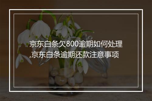京东白条欠800逾期如何处理,京东白条逾期还款注意事项