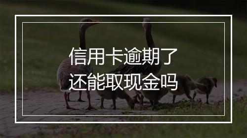 信用卡逾期了还能取现金吗