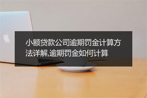 小额贷款公司逾期罚金计算方法详解,逾期罚金如何计算